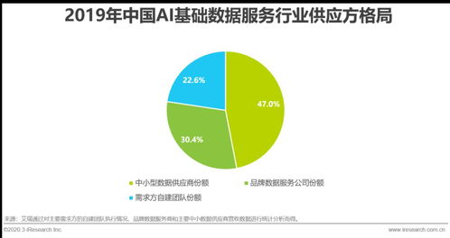 2020年中國AI基礎(chǔ)數(shù)據(jù)服務(wù)行業(yè)發(fā)展報(bào)告 軟件開發(fā)的賦能與革新
